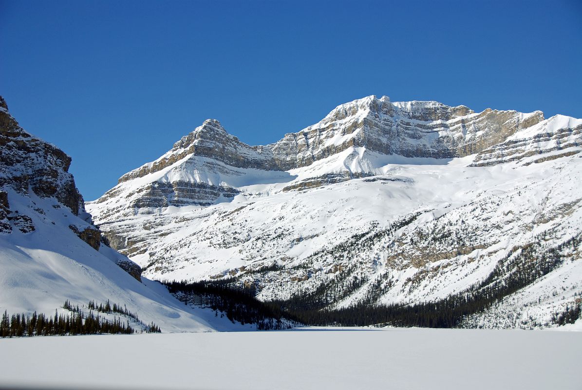 42 Frozen Bow Lake, Portal Peak and Mount Thompson From Icefields Parkway